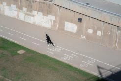 Powerslide Inlineskates Swell Road Grey 125 Grau -Riemenscheibe Verkäufe powerslide inlineskates swell road grey 125 grau7