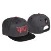 POWERSLIDE WCD Wicked Logo Cap (grau/schwarz/rot)